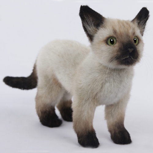 Siamese Kitten Soft Toy by Hansa